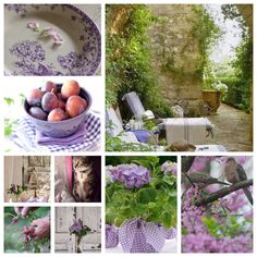 a collage of pictures with purple flowers and fruit in the center, an old stone building to the left, and a bird on the right