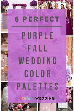 purple wedding color palettes with the words 8 perfect purple fall wedding colors