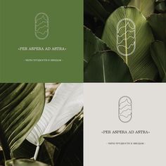 the logo for per aspera ad astrida is shown in three different colors