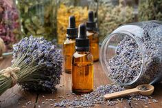 Essential Oils for Stomach Bug & 3 Powerful Blends - TheWellthieone Recipes With Lavender, Homemade Lavender Oil, Minimize Pores Naturally, Lavender Recipes, Natural Skincare Recipes, Loose Belly, Dark Armpits