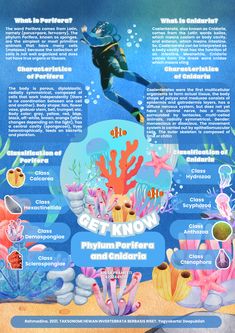 a poster with an image of a person swimming in the ocean, surrounded by corals and