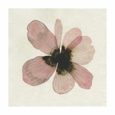 an image of a flower that is in the air with watercolors on paper