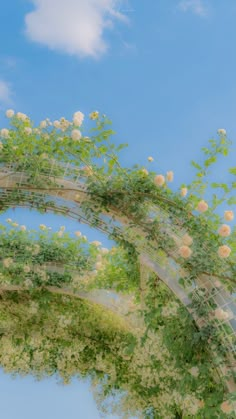 an arch with flowers growing on it and blue sky in the backgrounnd