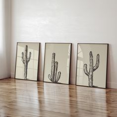 three framed cactus prints on a wooden floor