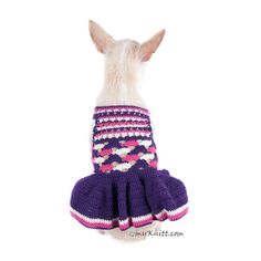 a small dog wearing a purple and pink sweater