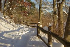 a wooden fence in the snow near trees