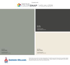 the colorsnap visualizer is shown in gray and white, with two different shades