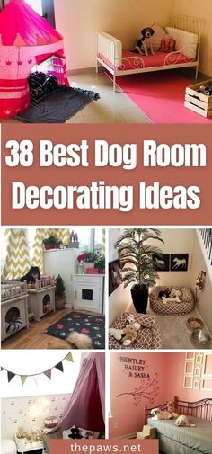 the best dog room decorating ideas