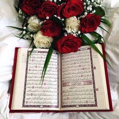 an open book sitting on top of a bed covered in red and white flowers next to a bouquet of roses