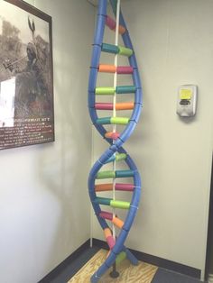 a model of a double - stranded structure made out of colored plastic tubes in an office cubicle