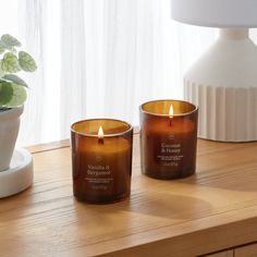 two candles sitting on top of a table next to a potted plant