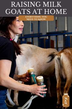 a woman is milking a cow with a bottle in her hand and the words raising milk goats at home