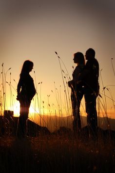 two people standing in tall grass at sunset