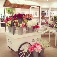 a flower cart with flowers in buckets on the front and behind it is a display case