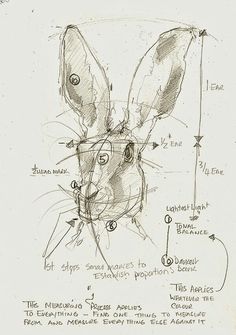 a drawing of a rabbit's head with its nose and ears drawn in pencil