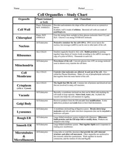 the cell organ and its functions are shown in this table, which shows how cells work together