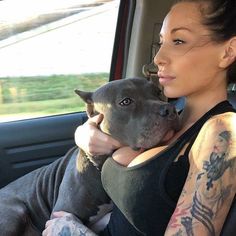 a woman sitting in the back seat of a car holding a pit bull terrier