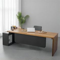 an office desk with a laptop on it and a potted plant in the corner