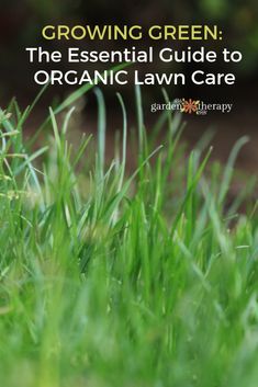 green grass with the title growing green the essential guide to organic lawn care