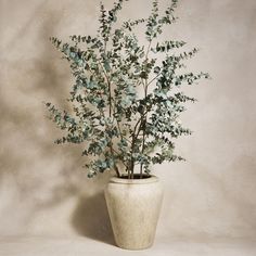 a white vase filled with lots of green plants