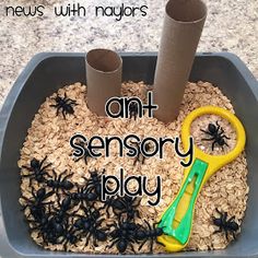 an ant sensory play made out of oats and toilet paper with scissors in it