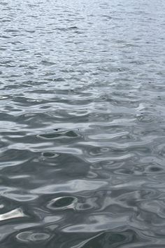 the water is very calm and has ripples on it