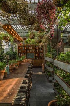 the inside of a greenhouse with lots of plants and potted plants on tables in it