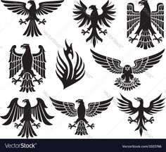 black and white silhouettes of different types of eagle birds illustration on the white background