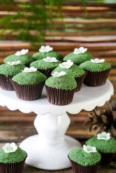 cupcakes with green frosting and white flowers are on a cake platter