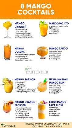 a poster with different types of cocktails on the side and below it is an image of