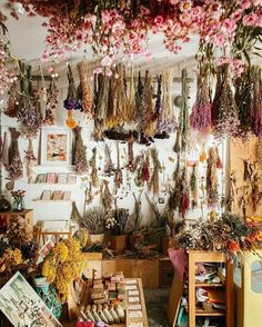 a room filled with lots of dried flowers and plants hanging from the ceiling above it