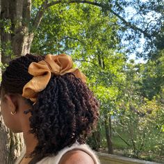 🌲🌼 Black Natural Hairstyles Curly, Twists Hairstyles For Natural Hair, Natural Hair Styles For Wedding, Twist Braids Hairstyles Natural Hair, Natural Hair Styles Medium Length, Braided Natural Hairstyles, Quick Protective Styles, Natural Hair Aesthetic, Natural Hair Braid Styles