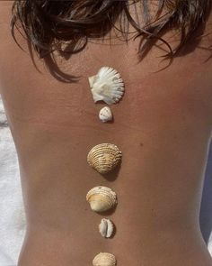 the back of a woman's body with seashells arranged on her stomach