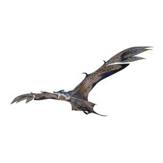 a large bird flying through the air with it's wings spread