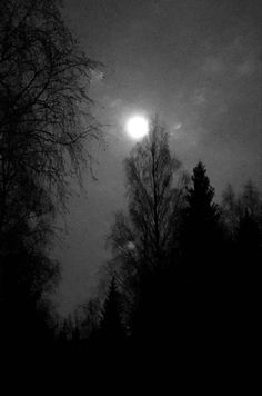 the moon shines brightly in the dark sky above trees and snow on a gloomy night