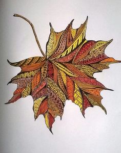 a drawing of a colorful leaf on a white background