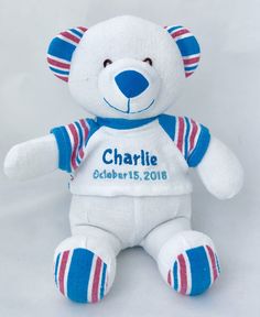 a white teddy bear with blue, red and white stripes on it's chest