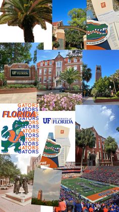 the collage shows images of florida state university