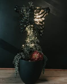 a plant in a black pot with lights on it