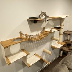 a cat sitting on top of a wooden shelf with a hammock hanging from it's side