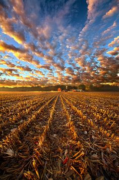 the sun is setting over an empty field with no leaves on it and clouds in the sky