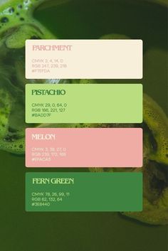 Green And Pink Logo Design, Colour Green Palette, Matcha Brand Identity, Los Angeles Color Palette, Pink And Green Color Pallet, Branding Color Palette Examples, Green Pink Colour Palette, Matcha Green Color Palette