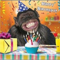 a monkey wearing a birthday hat with candles in it's mouth