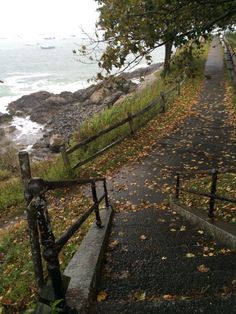 the path to the beach is covered in leaves and has railings on both sides