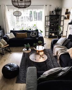 a living room filled with black furniture and lots of plants on the windowsills