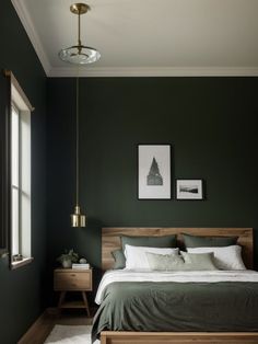 a bedroom with dark green walls and white carpet