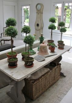 there are many potted plants on the table in this room with a grandfather clock