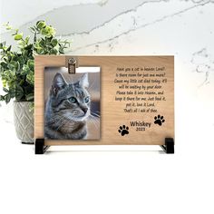 a wooden frame with a cat's face and paw prints on it, next to a potted plant