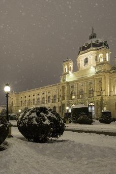 a large building is lit up at night with snow falling on the ground and trees