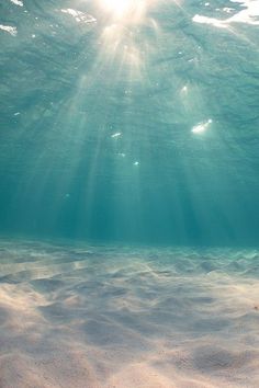 the sun shines brightly through the water's surface